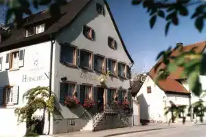 Hotel Hirschen, Фрайбург