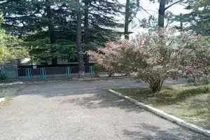 Чайка Дона, Лазаревское