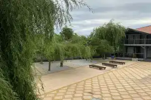 Медуза