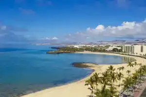 Plus Fariones Habitat, Аресифе