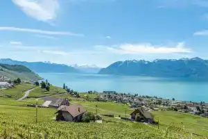 Swiss Luxury Apartments, Женева