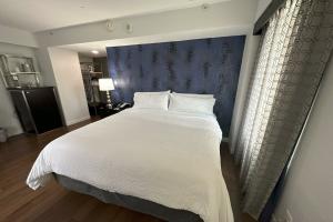 Holiday Inn Express Dallas Downtown, an Ihg Hotel, Даллас
