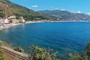 Don Diego, Лингваглосса