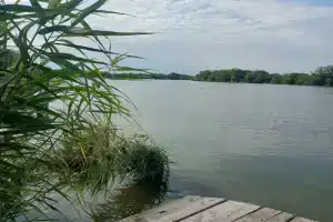 У Реки, Нововеличковская