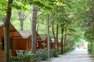Bosco Verde Camping, Торре-дель-Лаго-Пуччини