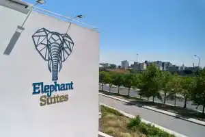 Elephant Suites, Салоники