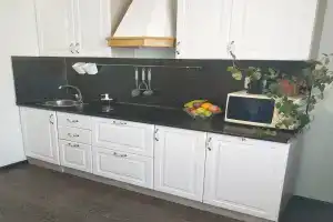 Гостиница «Феникс», Пушкин