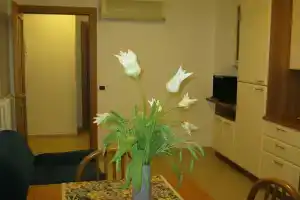 Verde Mare, Торторето