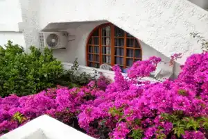 Rubini Rooms, Парикия