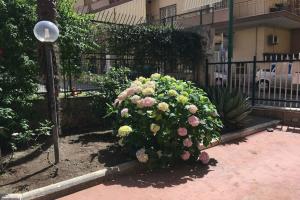 B&b Antea, Геркуланум