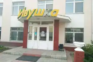 Мини-отель «Ивушка, 9-я Ленинская, 55», Омск