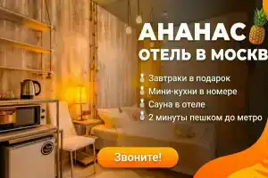 Гостиница «Ананас», Москва