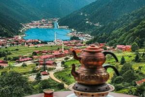 Uzungol Apart, Узунгёль