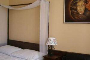Pension Dasa, Табор