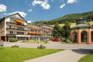 GesundheitsHotel Das Bad Peterstal, Бад-Петерсталь-Грисбах