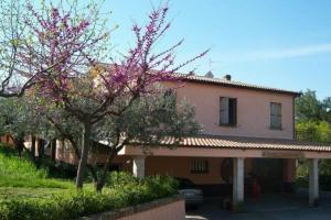 Azienda Vitivinicola Sergio Del Casale, Васто