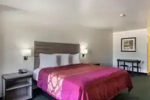 Oyo Inn & Suites Medical Center San Antonio, Сан-Антонио