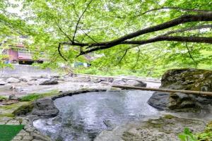 Futamata Onsen Kashiwaya Ryokan, Иваки