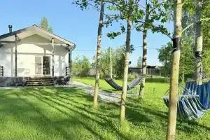 Дома на даче, Моисеевичи