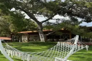 Rai Foresta Tekirova, Текирова