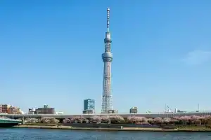 Отель «Toyoko Inn Tokyo Asakusa Senzoku Tsukuba Express», Токио