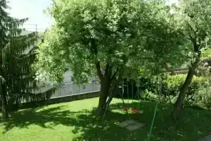 Aae Heidi's Hostel, Интерлакен