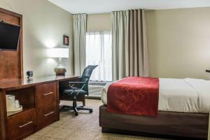 Comfort Suites University - Research Park, Шарлотт