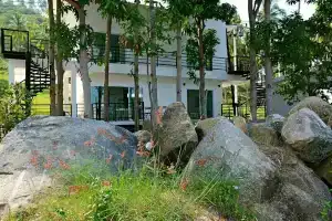 The Green Mango, Чавенг