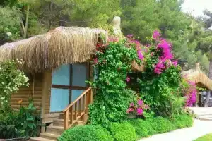 Pınar's Bungalow Houses, Орхание