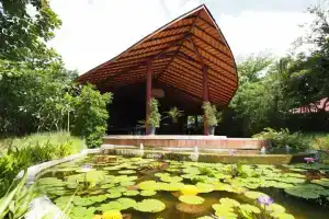 Samui Garden Home, Ламаи