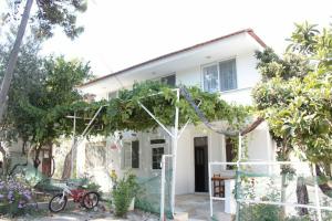 Patara Doga Apart, Патара