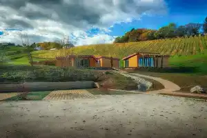 Naturasort, Марибор