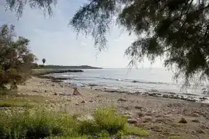 Bj Playa Blanca, Са-Кома