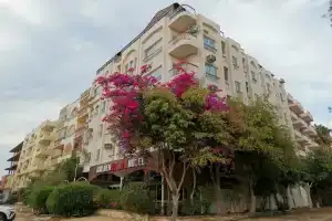 Golden Rose Hotel, Хургада