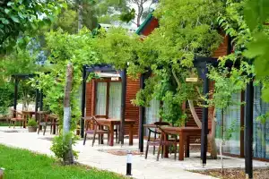 Гостевой дом «Koala Bungalows», Олимпос