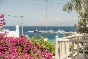 Rania Apartments Sea View, Миконос