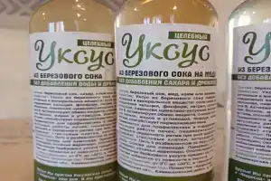 Гостевой дом «Кедросад» в Ручкино