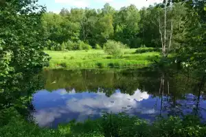 База отдыха «Теремки» в Ковровском районе