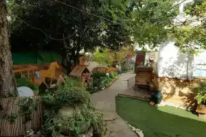 JeanEm, Нетания