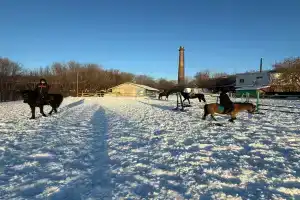 Гостиница «Кон Брио», Самара