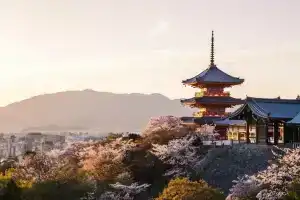Japaning Hotel Gozen, Киото