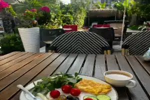 Wolf Suites, Лара