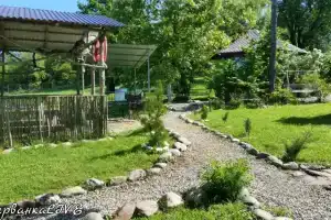 Гостевой дом «Ширванкаlife» в Апшеронском районе