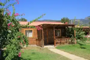 Ipekce Tatil Evleri, Месудие