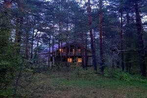 Гостиница «Вишнёвый медведь», Ивашёво