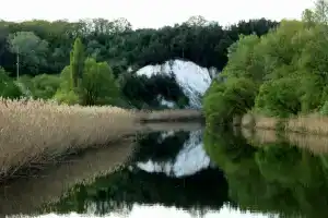 Урочище Бор на мелу, Нежеголь