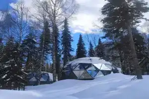 Тайгара