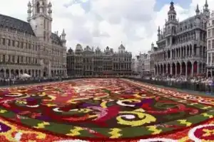 Condo Gardens Brussels, Брюссель
