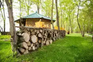 Андреевский парк