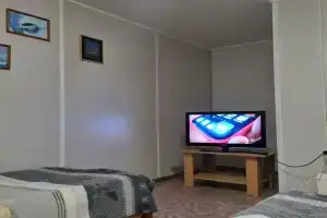 Ассо, Кавалерово